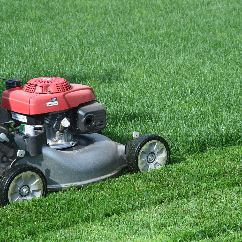 Landscaping Insurance Florida
