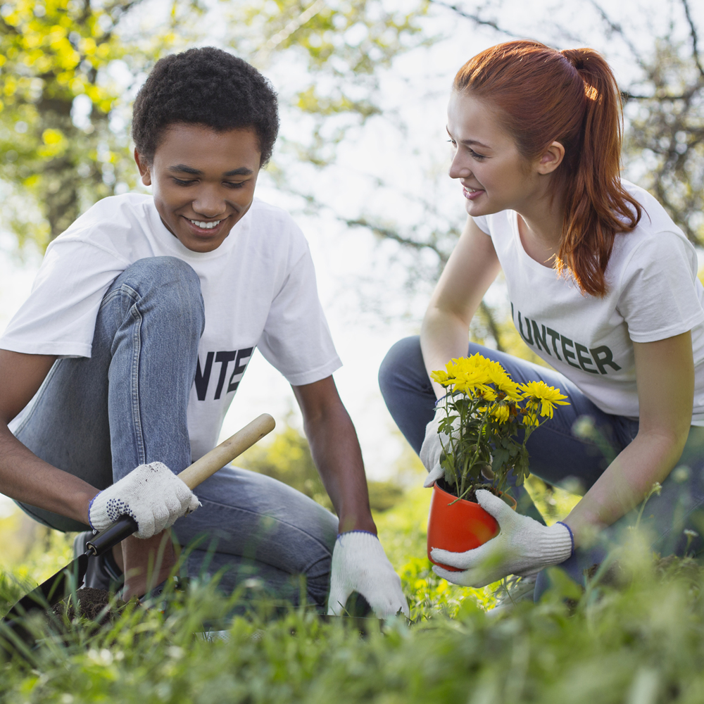 Nonprofit Insurance Florida