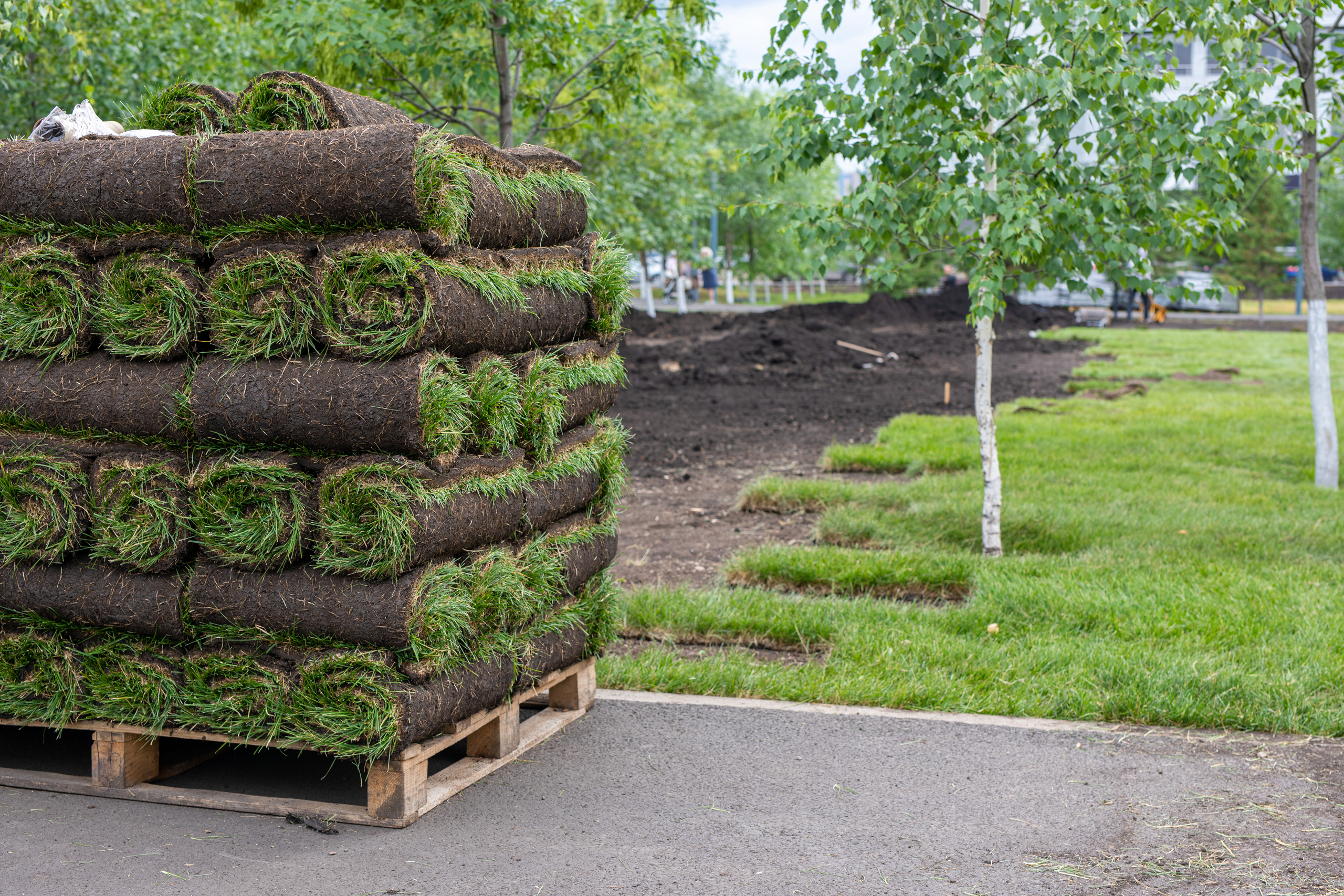 Landscaping Insurance Florida