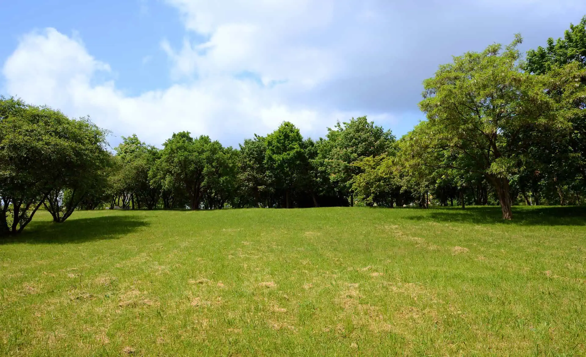 Vacant Land Insurance Florida