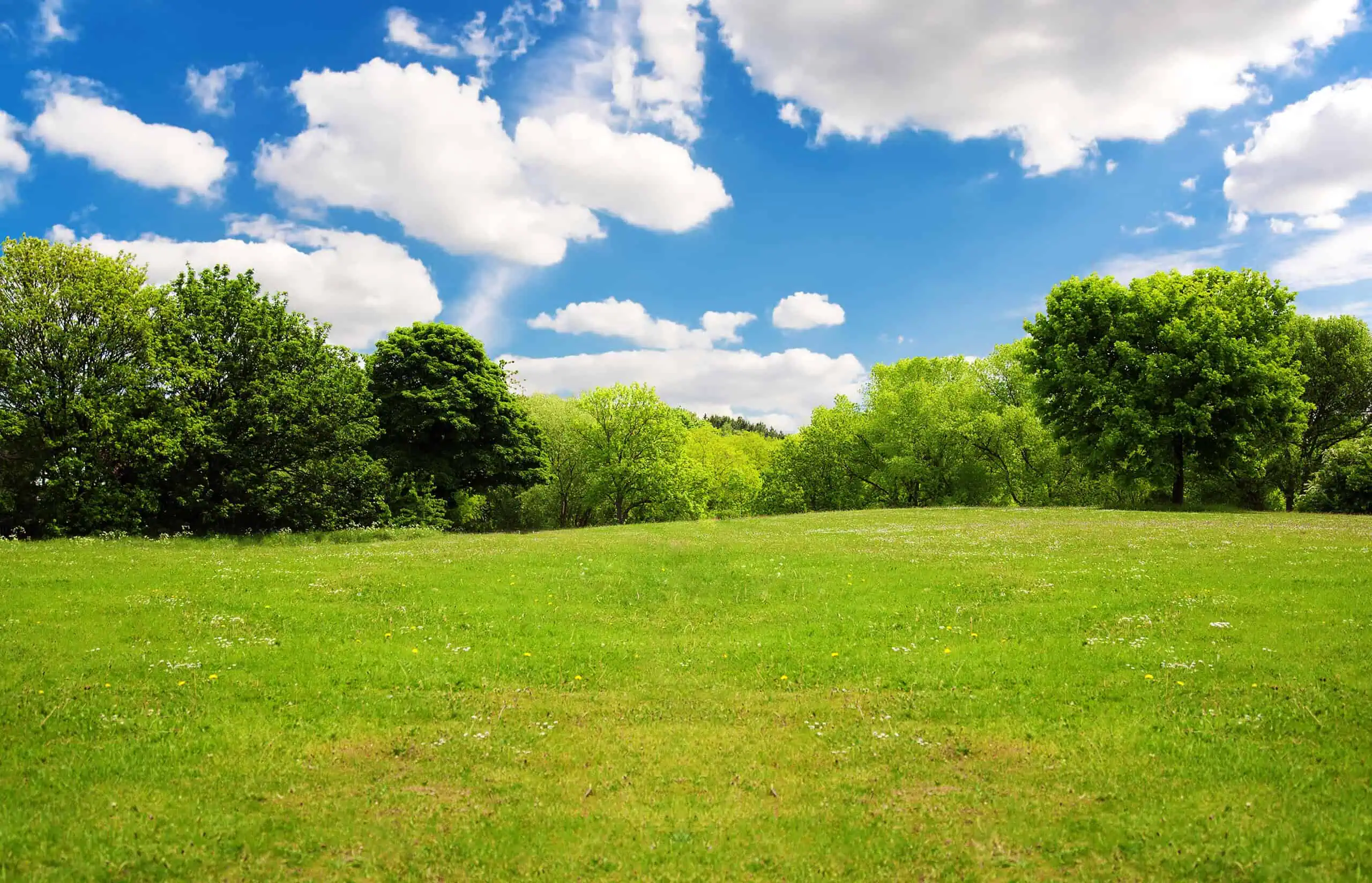 Vacant Land Insurance Florida