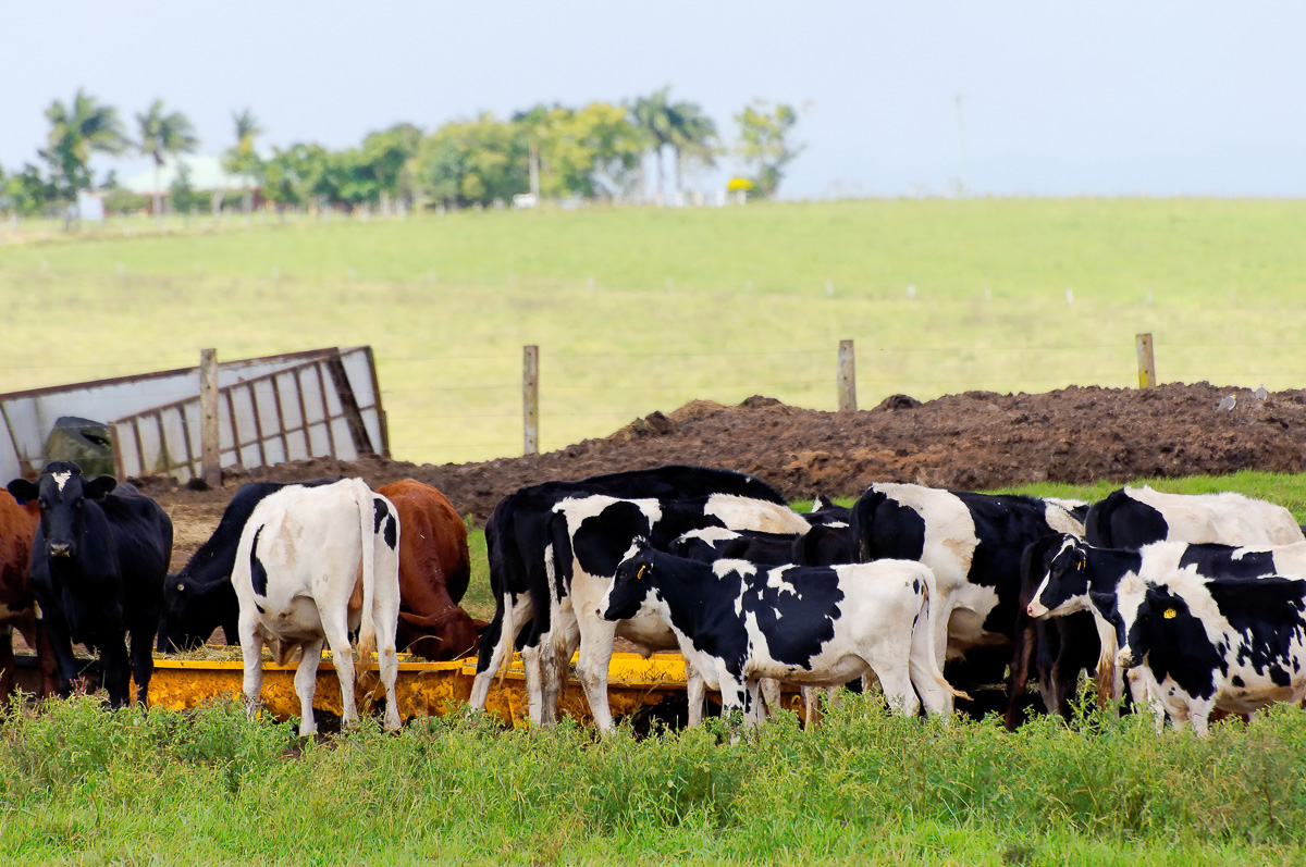 Farms Insurance Florida